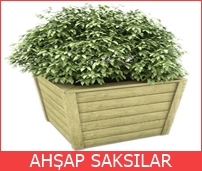 AHŞAP SAKSILAR